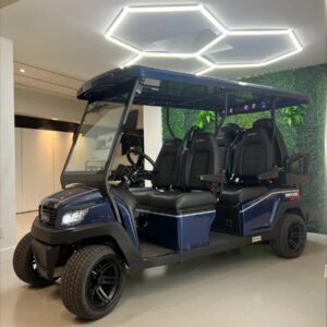2026 Golf Cart Bintelli 6pr Power Lithium-Ion for sale